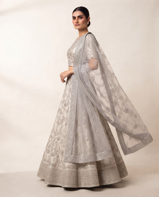Champagne Silver Lehenga Choli
